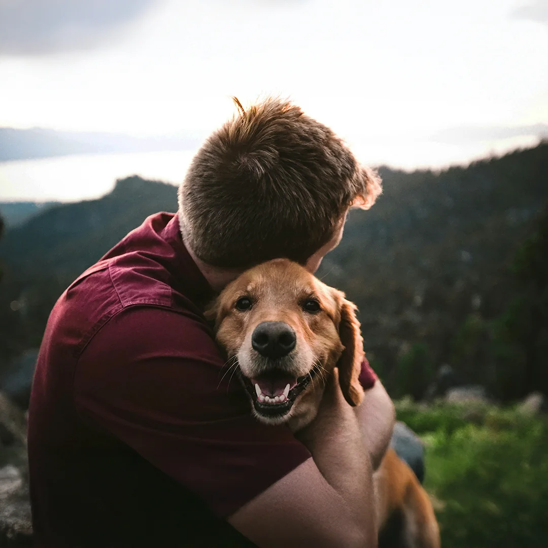 Man in a red shirt hugging a happy golden retriever with mountains in the background.